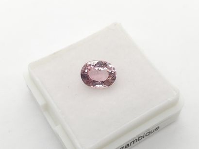 TOURMALINE purplish pink , oval , Mozambique...