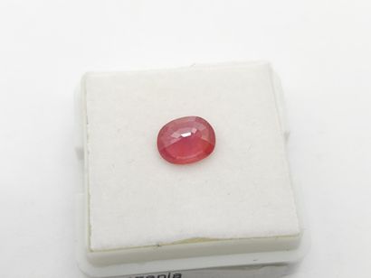 SAPHIR Pinkish orange , oval , Songea Tanzanie...