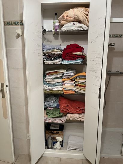DANS LE PLACARD DE L'ENTREE
Ensemble de vêtements...
