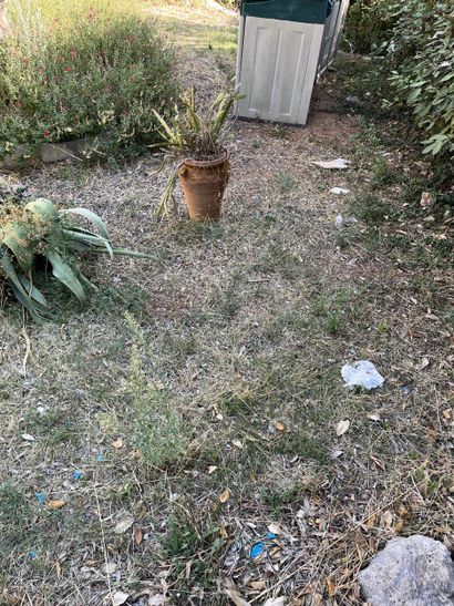 ENSEMBLE DE POTS et jarres modernes se trouvant...