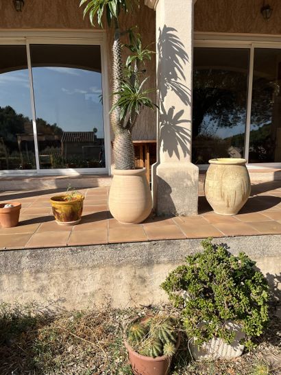 ENSEMBLE DE POTS et jarres modernes se trouvant...