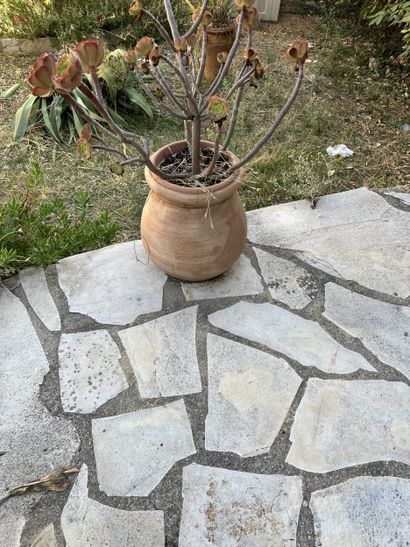 ENSEMBLE DE POTS et jarres modernes se trouvant...