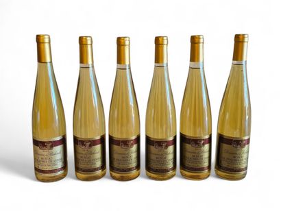 MUSCAT DE BEAUMES DE VENISE
Domaine des Richards
Year...
