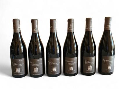 CHARMES-CHAMBERTIN GRAND CRU 
Huguenot 
Année...
