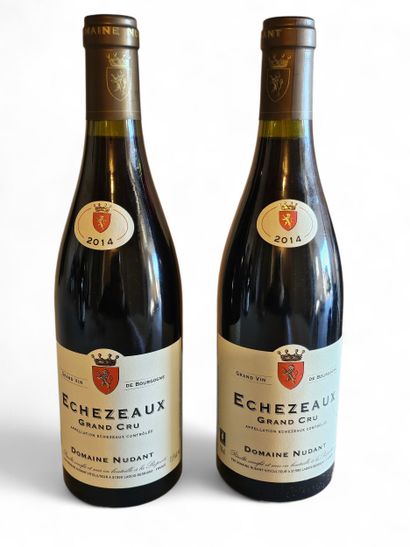 ECHEZEAUX GRAND CRU 
Domaine Nudant 
Année...
