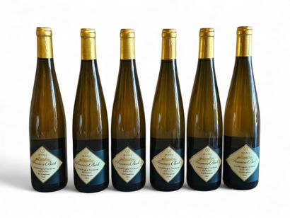 RIESLING HERTENSTEIN
Francois Beck
Late harvest...