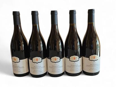 HAUTES COTES DE BEAUNE
Bourgogne Francois...