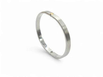 PEQUIGNET Brushed steel and 750° gold rigid...