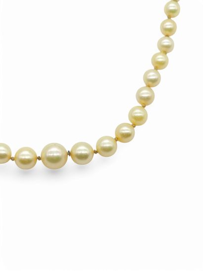 COLLIER de 75 perles en chute probablement...