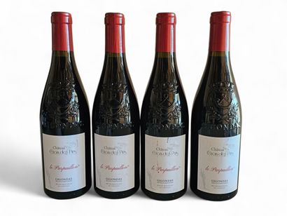 GIGONDAS 
Le Parpaillon
Château des Pins...