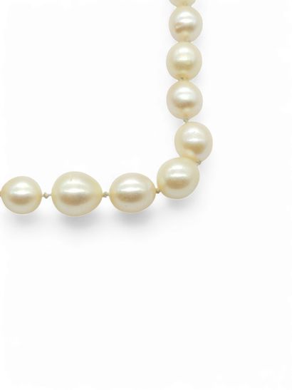 COLLIER sautoir 57 de perles de culture en...