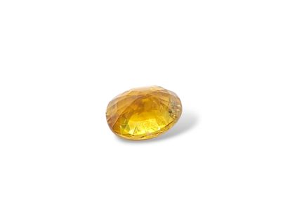 SAPHIR saffron yellow , oval , Thailand ,...