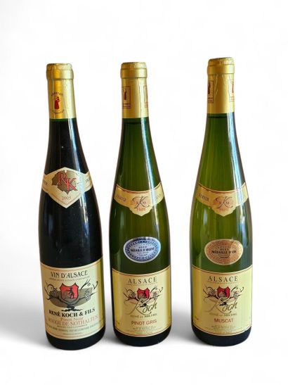 PINOT GRIS KOCH
Réne and Michel 
Year 2008
MUSCAT...