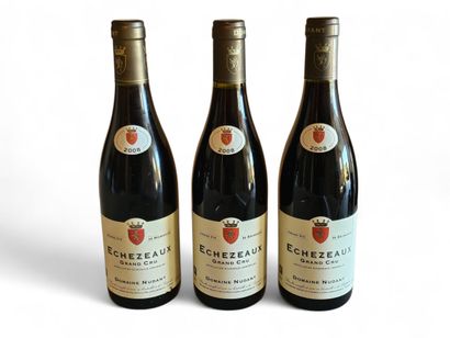 ECHEZEAUX GRAND CRU 
Domaine Nudant
Année...