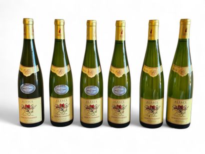 GEWURZTRAMINER KOCH
Réne and Michel
Year...
