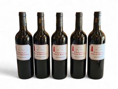 CHÂTEAU TOUR BOISEE 
Minervois Marie Claude...
