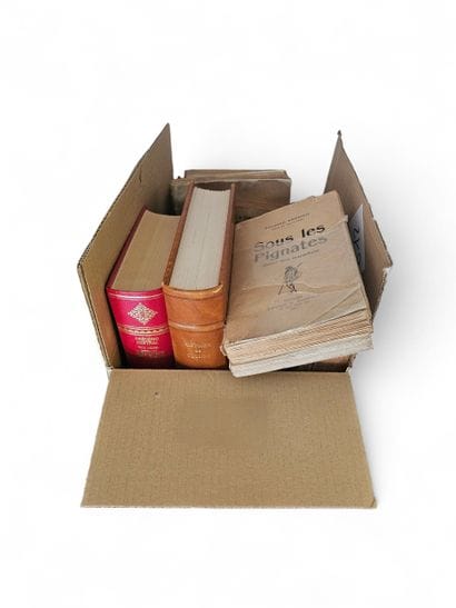 Ensemble de livres sur la Provence et certain...