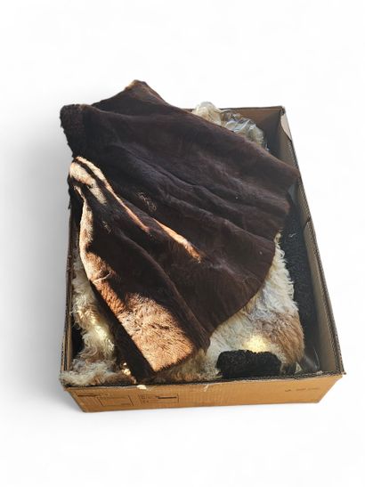 Un carton de manteaux en fourrures