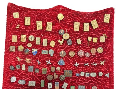Set of pins on red velvet embroidery 
Di...