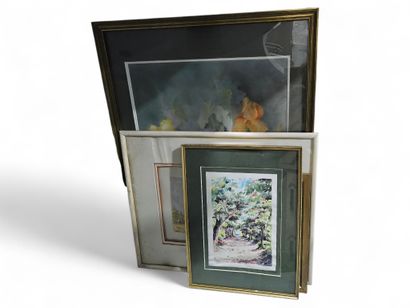 Set of amateur works