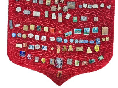 Set of pins on red velvet embroidery 
Di...