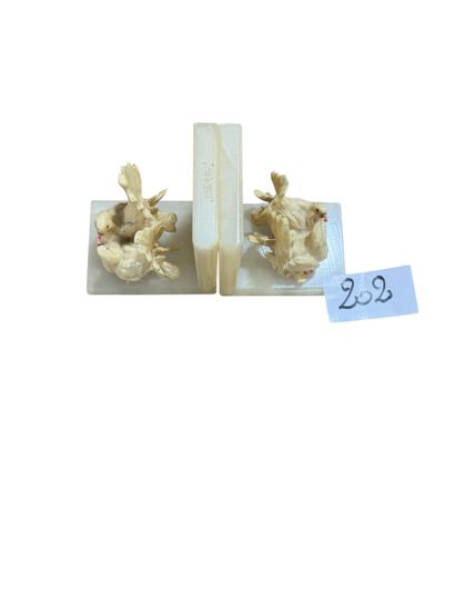 ERNA
Pair of alabaster and earthenware bookends...