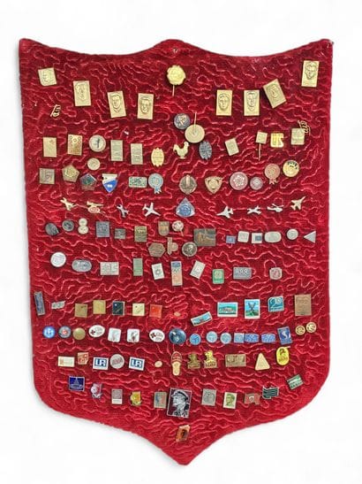 Set of pins on red velvet embroidery 
Di...