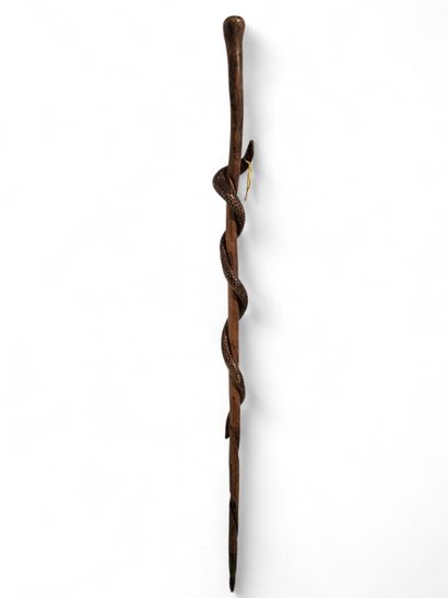 HAIRY WORK 
Walking stick in poplar decorated...