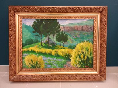 VOLPA
Southern landscape
Oil on panel signed...