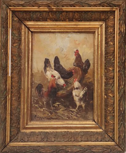 Jacques Etienne Maurice VAN COPPENOLLE
Rooster...