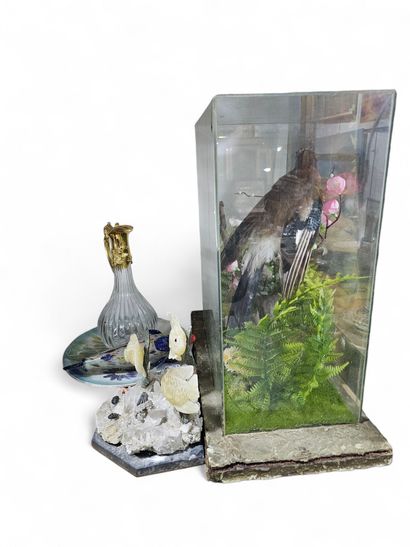 Trinket set
Diorama
Stone fish statue
A plate
Ewer
A...