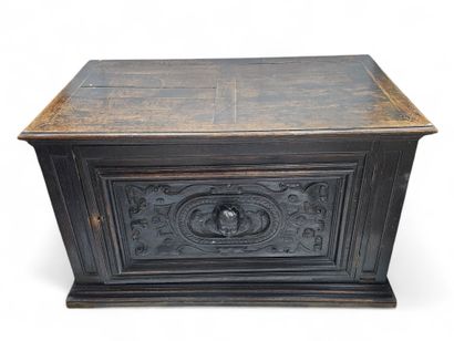 Moulded and carved wood COFFRE 
Opening with...