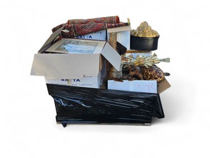 A palette of house backgrounds, books, naturalized...