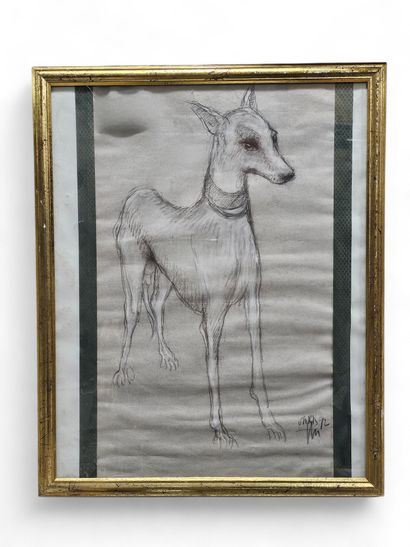Paris 92
Greyhound
Black pencil drawing on...