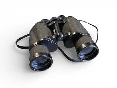 LUXON
Pair of 12x50 binoculars