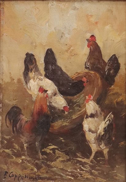 Jacques Etienne Maurice VAN COPPENOLLE
Rooster...