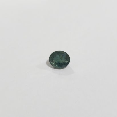 SAPHIR Green , ovale , Australie , 2,48 Carats,...