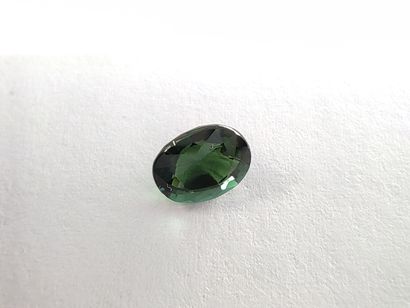 TOURMALINE verte ovale, 	Mozambique	, 1.14...