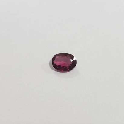 GRENAT purplish pink rhodolite VVS , ovale...
