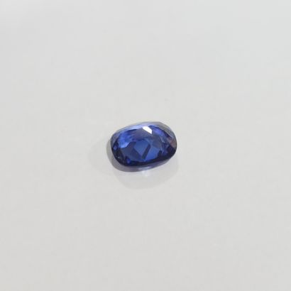 SAPHIR VERNEUIL blue , coussin , Kashmir...