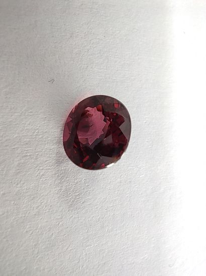 GRENAT purplish red rhodolite ovale, 	Madagascar,1.73...