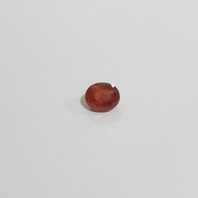 GRENAT medium orange spessartite , ovale...