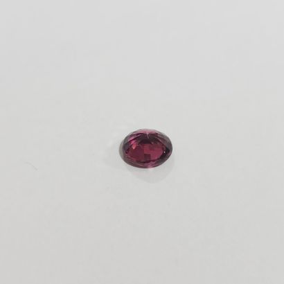 GRENAT purplish pink rhodolite VVS , ovale...