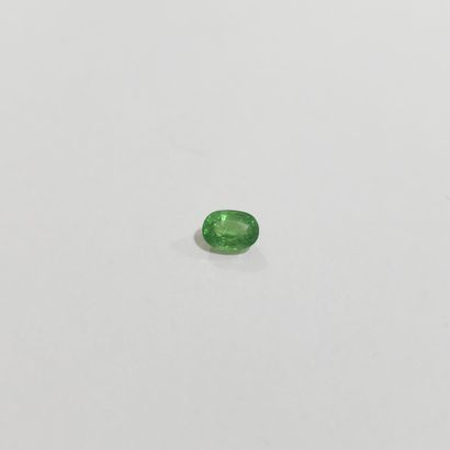 GRENAT shamrock green , ovale , Tanzanie...