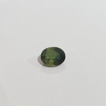 SAPHIR green , ovale , Australie , 3,40 Carats,...
