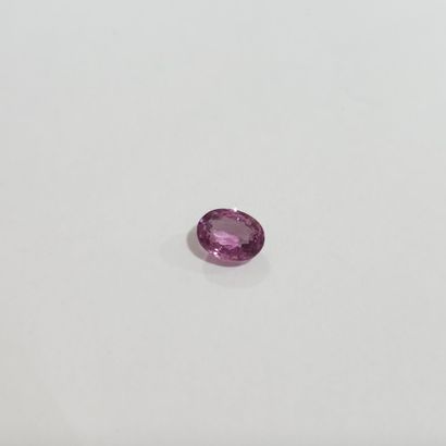GRENAT pinkish purple Malaya , ovale , Tanzanie...