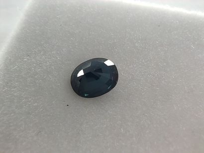 SAPHIR blue VS Australie ovale
Dim : 5,2mm...