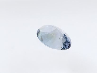 TANZANITE violet blue IF , ovale , Tanzanie...