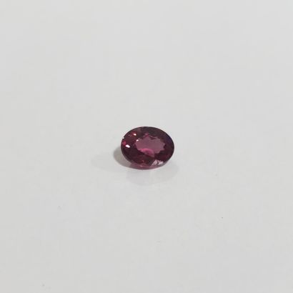 GRENAT purplish pink rhodolite VS , ovale...