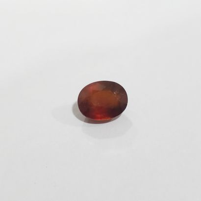 GRENAT orange spessartite , ovale , Namibie...